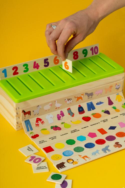 Knowledge classification box