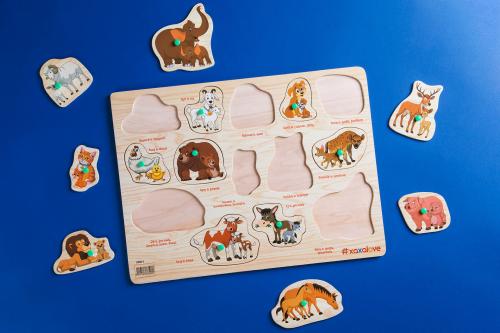 Exploring the World - Animals with Cubs