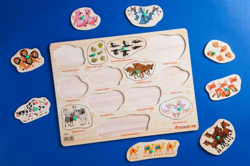 Познаем мир - Группы животных