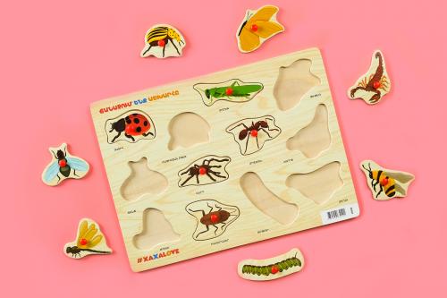 Ճանաչում ենք աշխարհը - Միջատներ