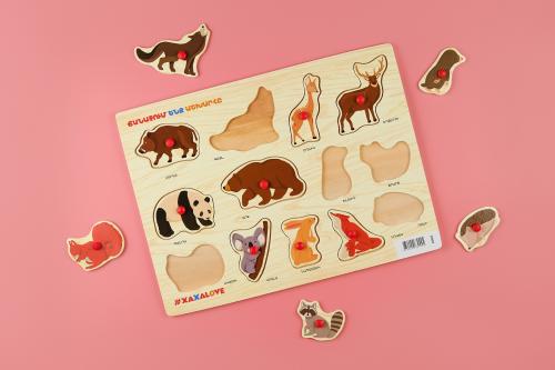 Ճանաչում ենք աշխարհը - Անտառային կենդանիներ