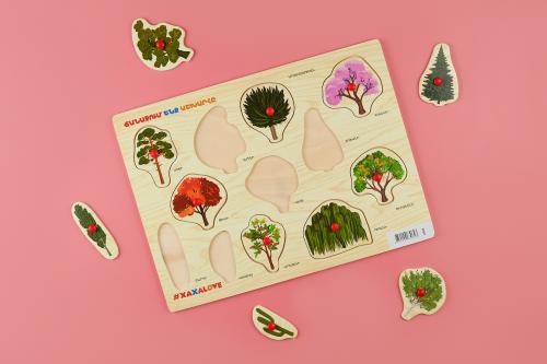 Ճանաչում ենք աշխարհը - Ծառեր