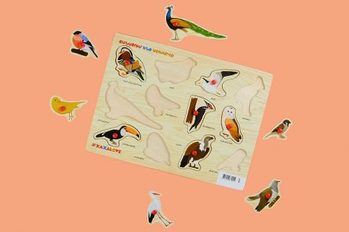 Exploring the World - Birds 2