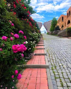 Նորակառույց Երևանում