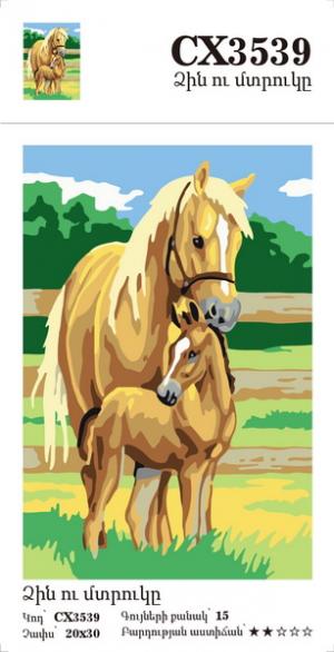 Canvas - Painting by numbers