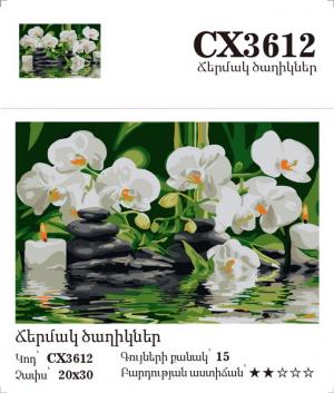 Canvas - Painting by numbers