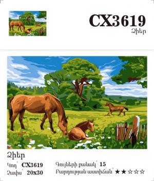 Canvas - Painting by numbers