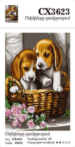 Canvas - Painting by numbers