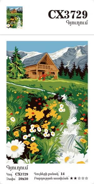 Canvas - Painting by numbers