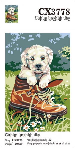 Canvas - Painting by numbers