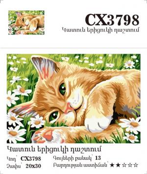 Canvas - Painting by numbers