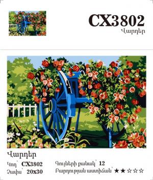 Canvas - Painting by numbers