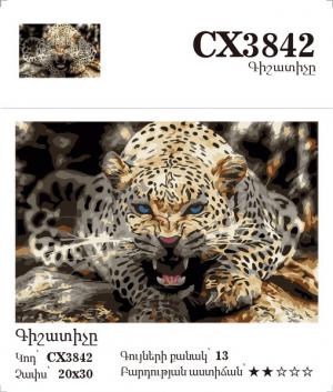 Canvas - Painting by numbers