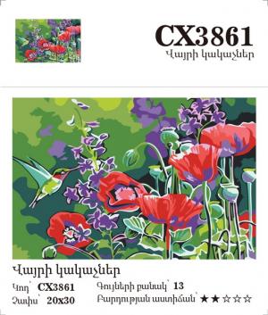 Canvas - Painting by numbers