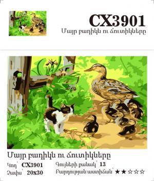 Canvas - Painting by numbers