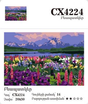 Canvas - Painting by numbers