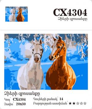 Canvas - Painting by numbers