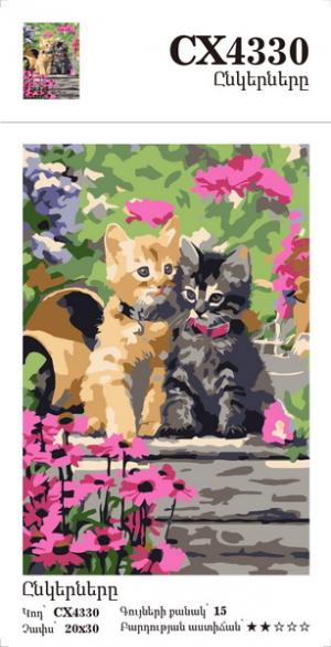 Canvas - Painting by numbers