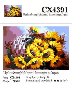 Canvas - Painting by numbers