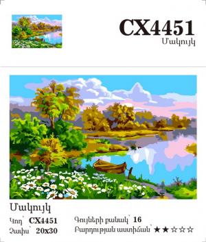 Canvas - Painting by numbers