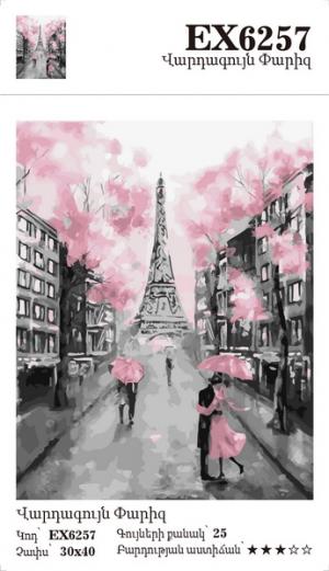 Canvas - Painting by numbers