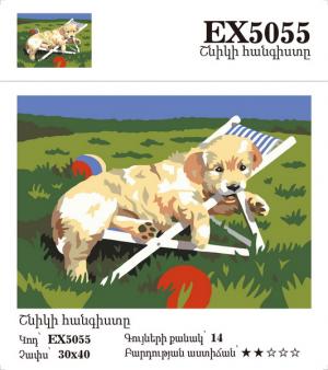 Canvas - Painting by numbers