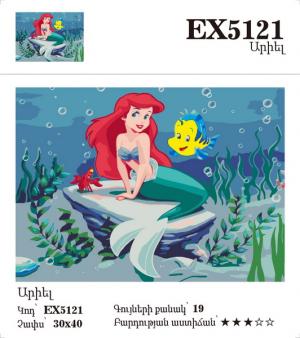 Canvas - Painting by numbers