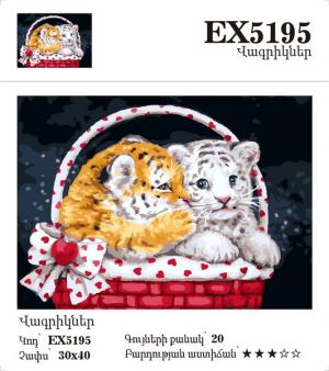 Canvas - Painting by numbers