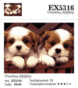 Canvas - Painting by numbers