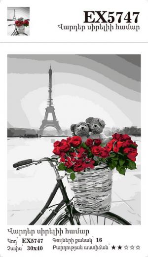 Canvas - Painting by numbers