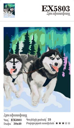 Canvas - Painting by numbers