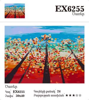 Canvas - Painting by numbers