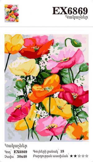 Canvas - Painting by numbers