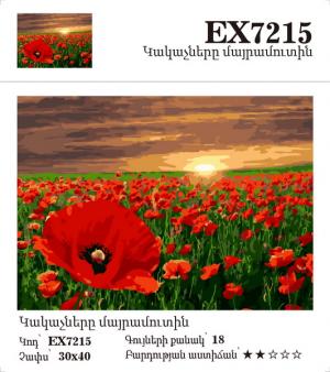 Canvas - Painting by numbers