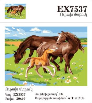 Canvas - Painting by numbers