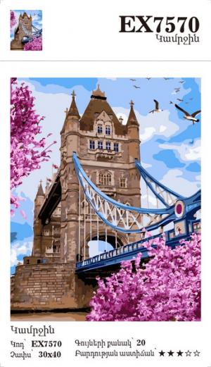 Canvas - Painting by numbers