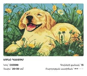 Շունը դաշտում
